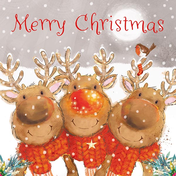 *Out of Stock* Reindeer Trio - Christmas Cards