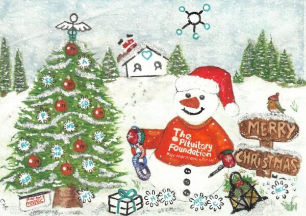 Limited Edition Pituitary Snowman Christmas Cards (Pack of 10)