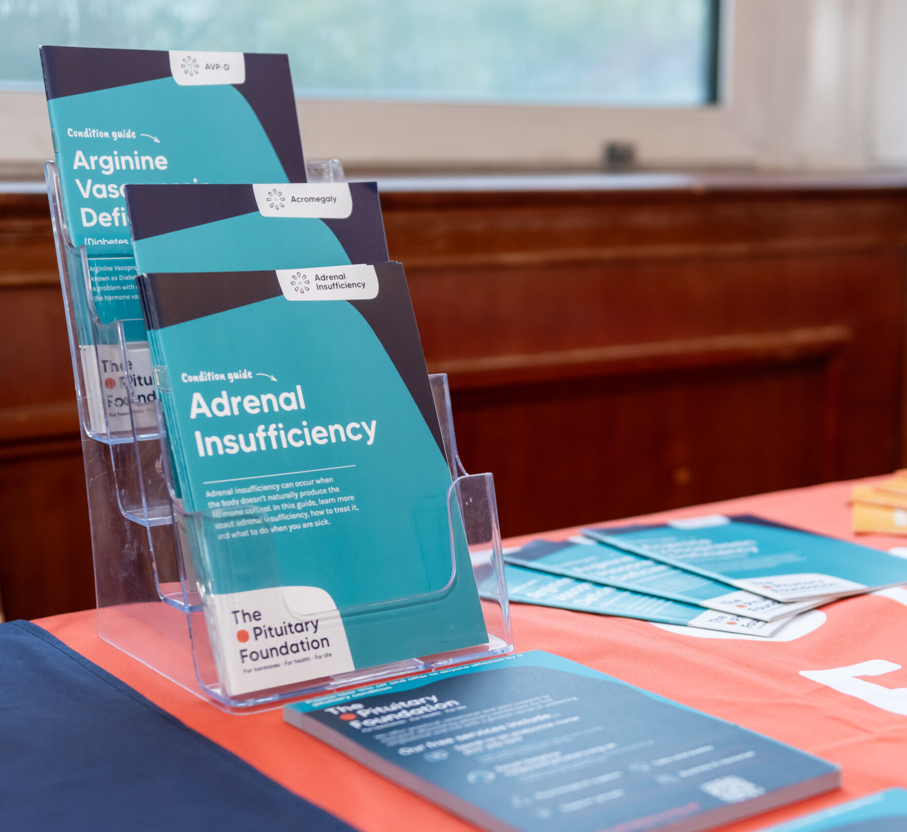 Our info booklets on a stand at an event